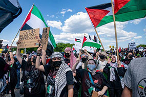 Palestinian Protest in Washington DC